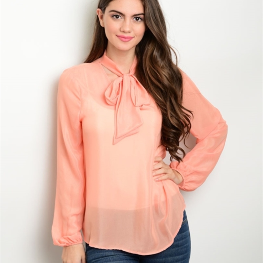 Tie Neck Blouse NWT